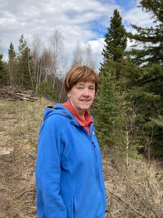 Sylvia Louise Marie Homeniuk