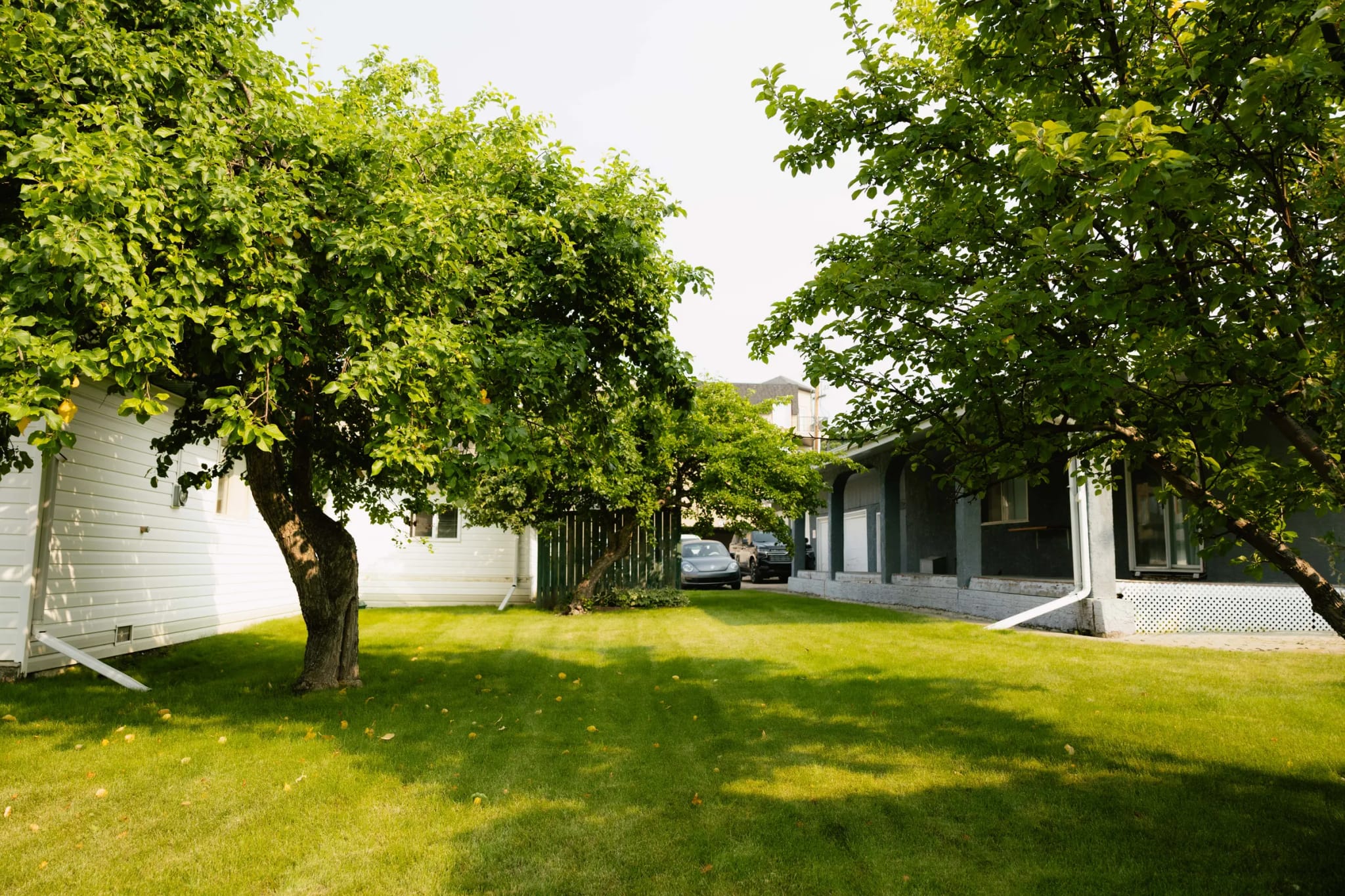 Mature trees and lawn on the grounds of Edson Funeral Home.